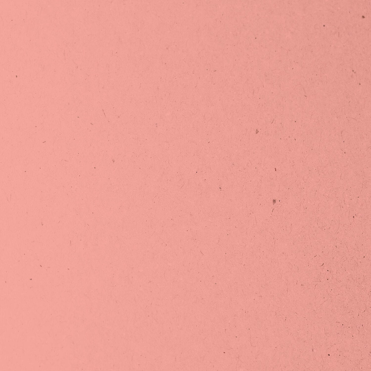 Employer Branding by grapevine marketing